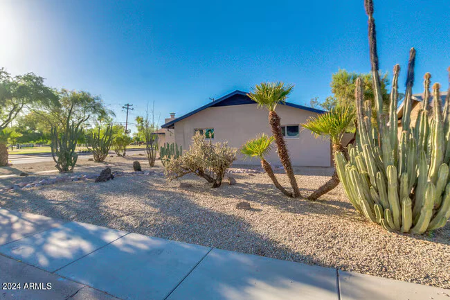 554 W 19th St Tempe, AZ 85281 photo 3