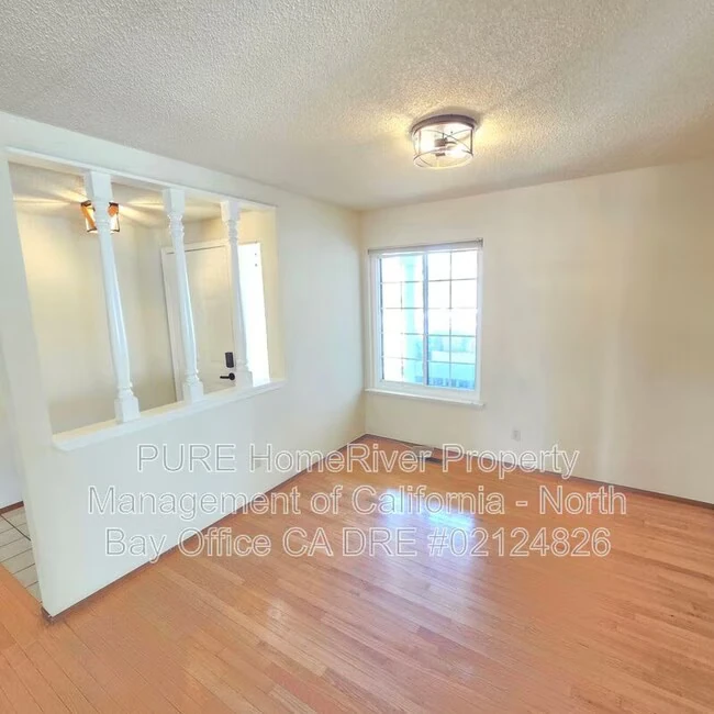 2113 Appaloosa Cir photo 4