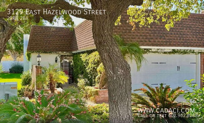 3129 E Hazelwood St Phoenix, AZ 85016 photo 4