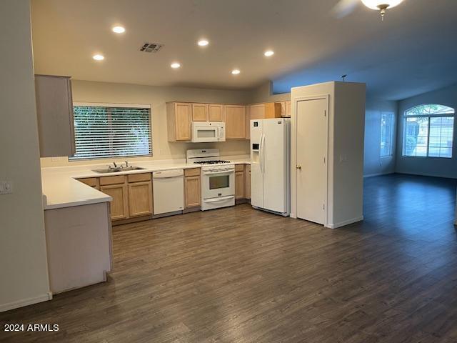 8006 W Adam Ave Peoria, AZ 85382 photo 4