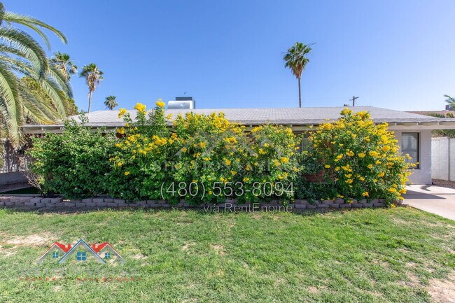 8119 E Amelia Ave Scottsdale, AZ 85251 photo 3