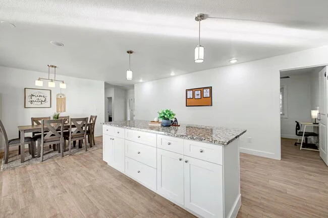 217 N Fraser Dr Mesa, AZ 85203 photo 3