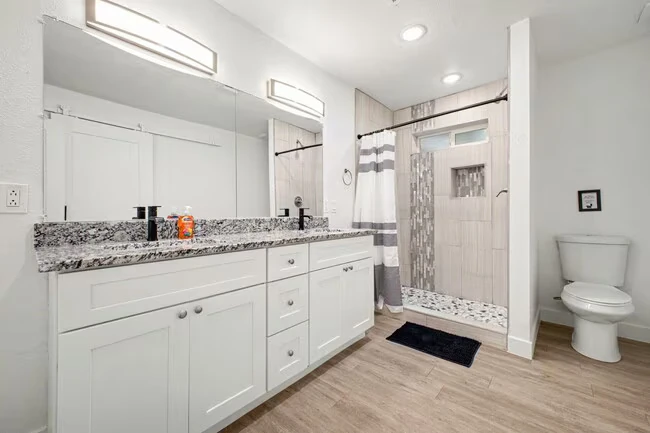 217 N Fraser Dr Mesa, AZ 85203 photo 5