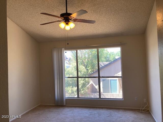 530 E Kerry Ln photo 4