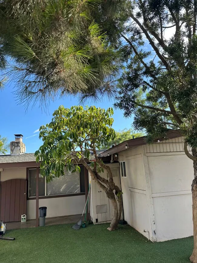 565 Pepper Dr photo 3