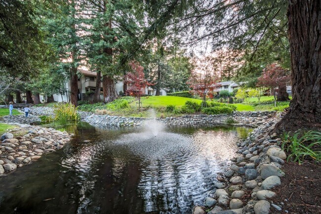 20720 4th St Saratoga, CA 95070 photo 4