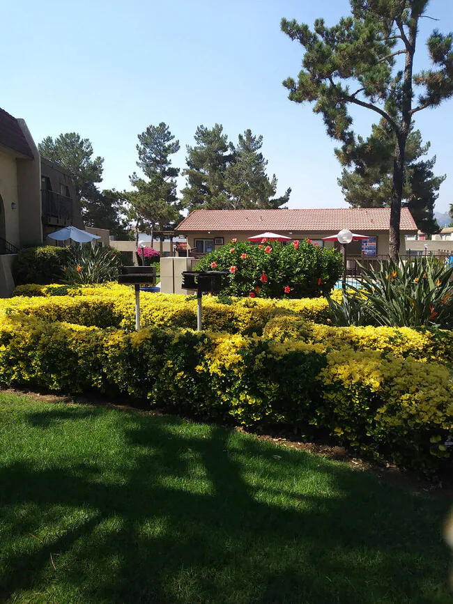 Teton Pines Apartments photo 3