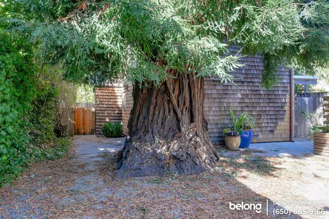2223 Ward St Berkeley, CA 94705 photo 4