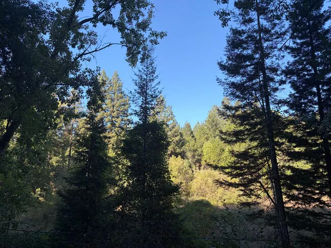 12000 CA-116 Guerneville, CA 95446 photo 3