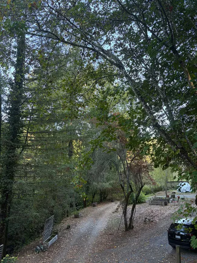 12000 CA-116 Guerneville, CA 95446