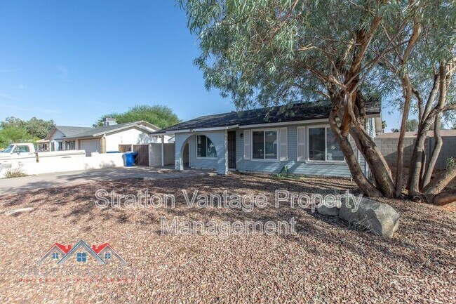 3509 W Detroit St Chandler, AZ 85226 photo 3