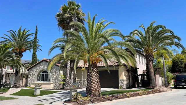 1050 White Alder Ave photo 5
