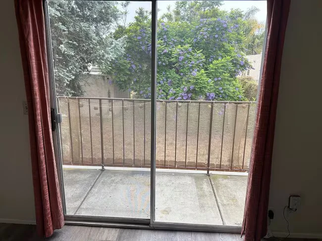1919 Reed Ave San Diego, CA 92109 photo 5