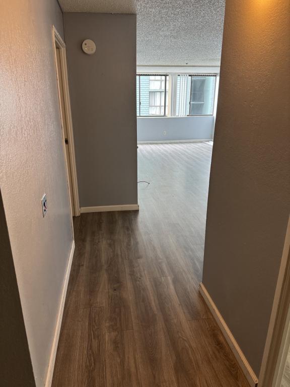 555 Pierce St Albany, CA 94706 photo 3