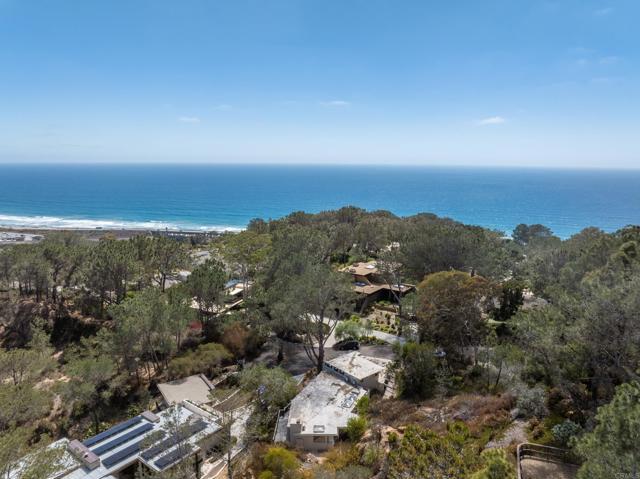 461 Hidden Pines Ln Del Mar, CA 92014