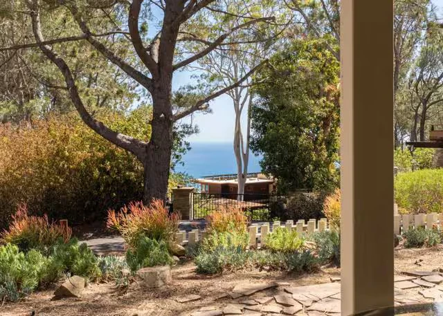461 Hidden Pines Ln Del Mar, CA 92014 photo 5