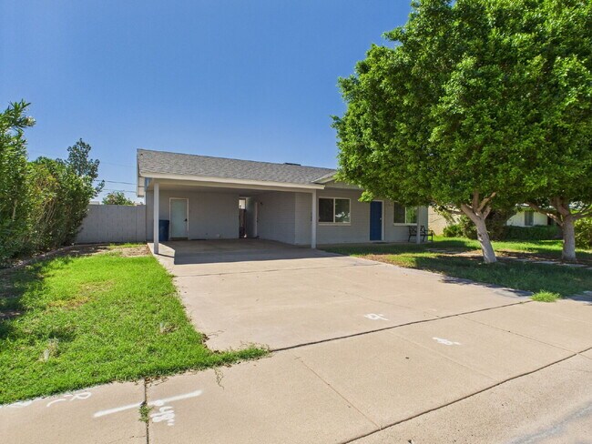1233 W 11th St Tempe, AZ 85281 photo 3
