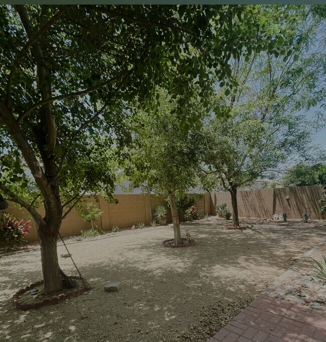 15539 W Poinsettia Dr Surprise, AZ 85379 photo 3