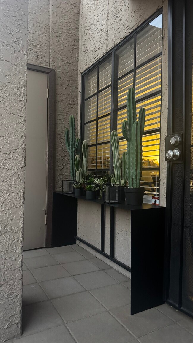 8625 E Belleview Pl Scottsdale, AZ 85257 photo 5