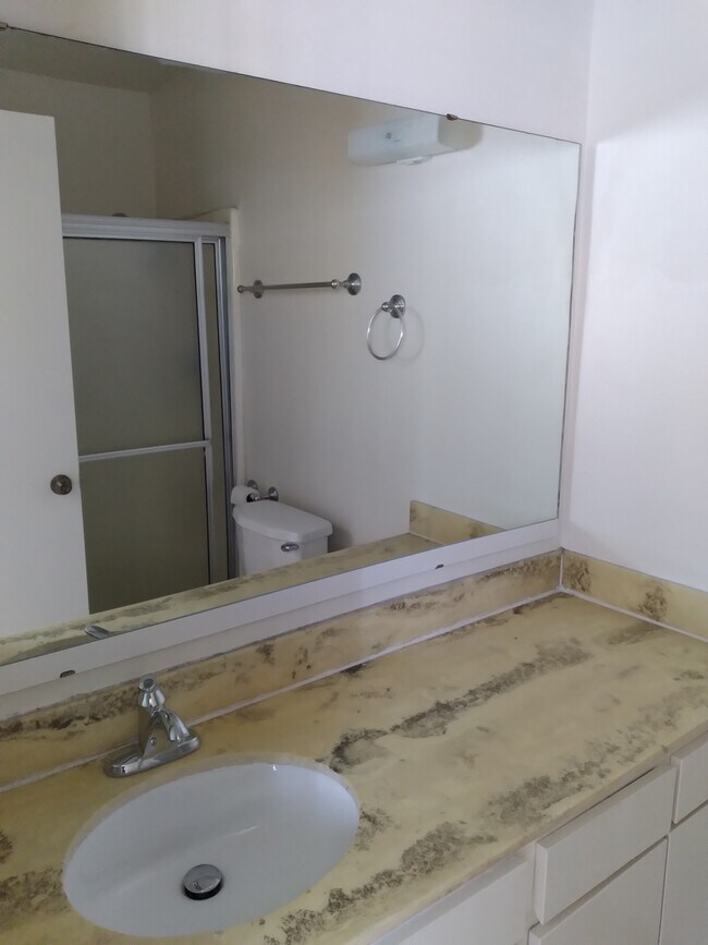 Park Verde Apartments photo 5