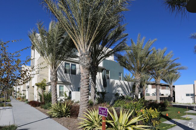 Evo Flats & Towns photo 2