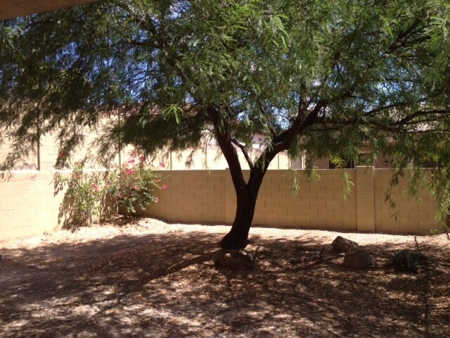 27701 N Higuera Dr Peoria, AZ 85383 photo 3