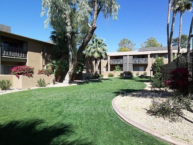 4354 N 82nd St Scottsdale, AZ 85251 photo 5