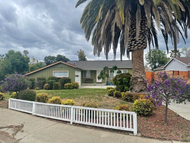 805 Onyx Ct photo 2