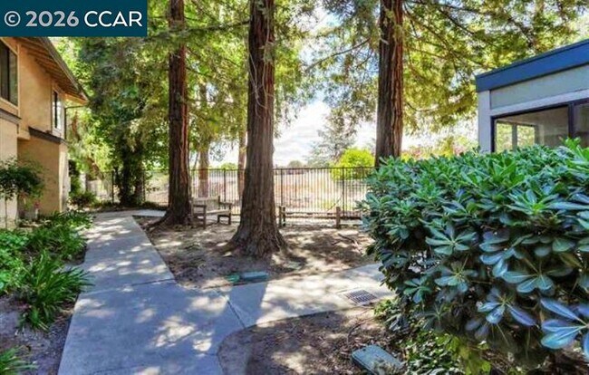 2144 Northwood Cir Concord, CA 94520 photo 4