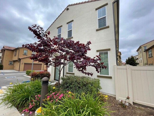 35795 Landon Ln Murrieta, CA 92562