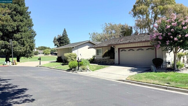 Bright and Airy, Single-Story, 4BD/2.5BA Home in Crow Canyon Country Club, Danville- Available NOW! photo 3