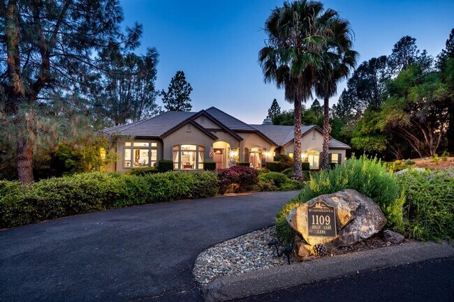 1109 Holly Leaf Ln Meadow Vista, CA 95722 photo 3