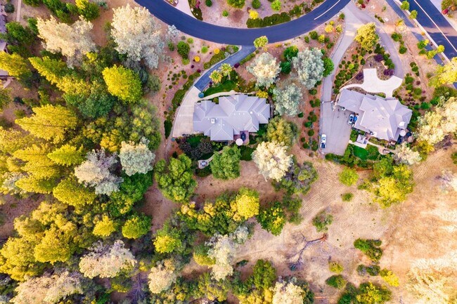 1109 Holly Leaf Ln Meadow Vista, CA 95722 photo 4