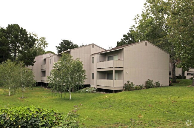 Shearwater Apartments photo 3