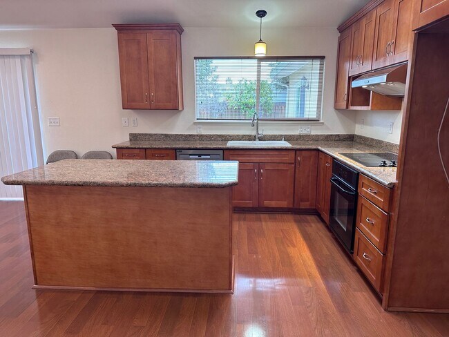 841 Lewiston Dr San Jose, CA 95136 photo 2