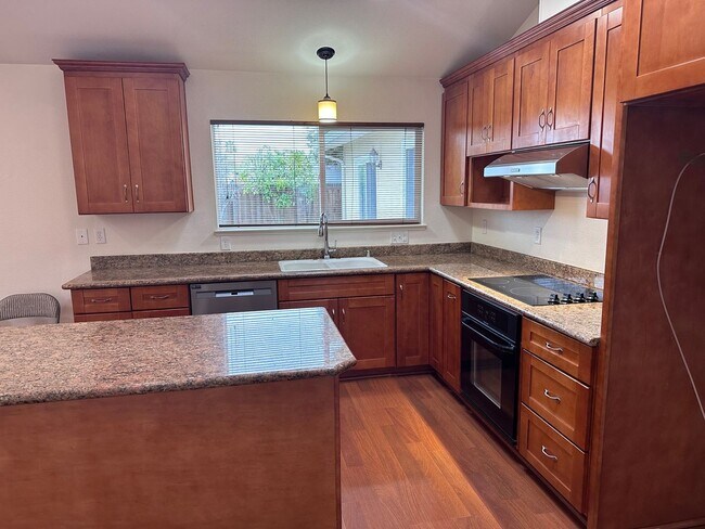 841 Lewiston Dr San Jose, CA 95136 photo 4