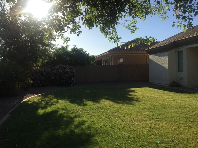 3416 E Kingbird Pl Chandler, AZ 85286 photo 5