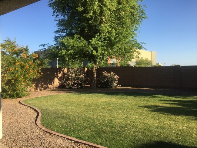 3416 E Kingbird Pl Chandler, AZ 85286 photo 4