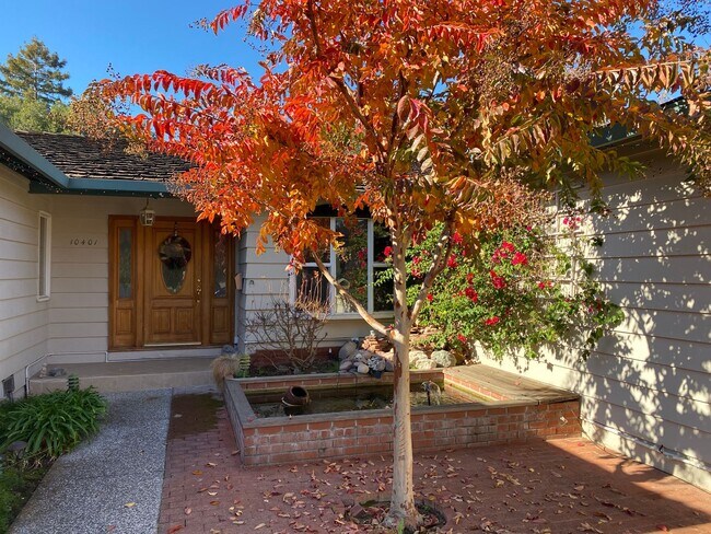 Beautiful Single Family Home In Cupertino photo 5