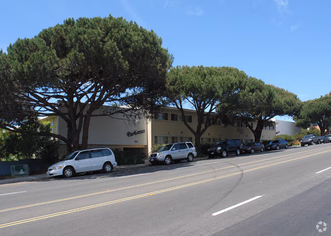 Pine Terrace Apartments - PTerrace photo 2