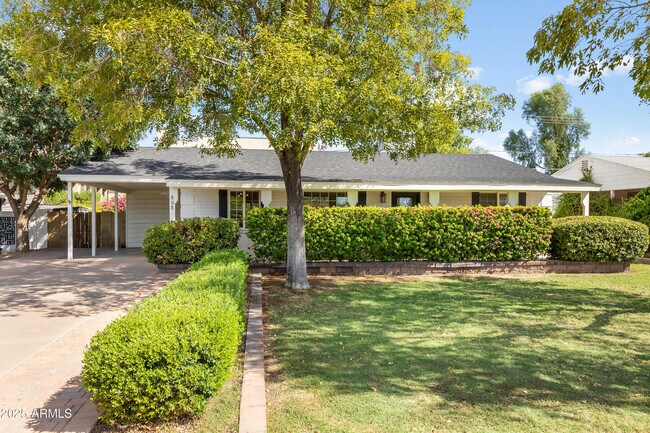 808 E Cavalier Dr photo 5