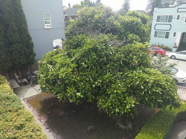 445 40th St Oakland, CA 94609 photo 4