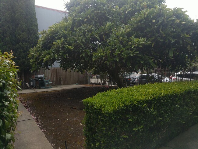 445 40th St Oakland, CA 94609 photo 3