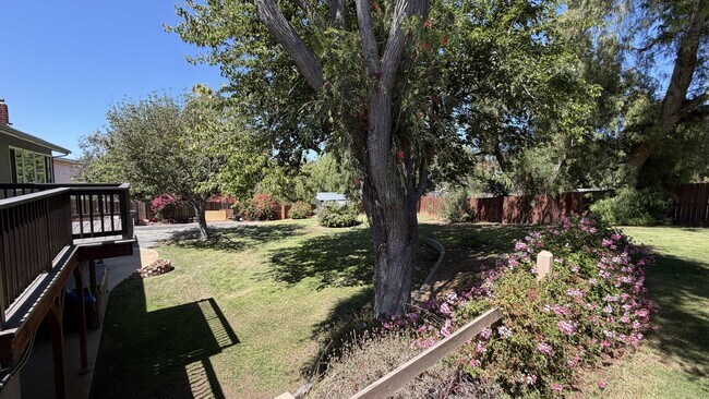 3709 Avenida Palo Verde Bonita, CA 91902 photo 5