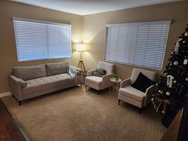 3620 S Barcelona St Spring Valley, CA 91977 photo 5