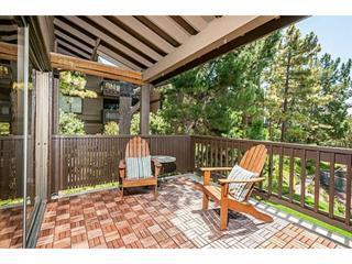 3358 Brittan Ave San Carlos, CA 94070 photo 4