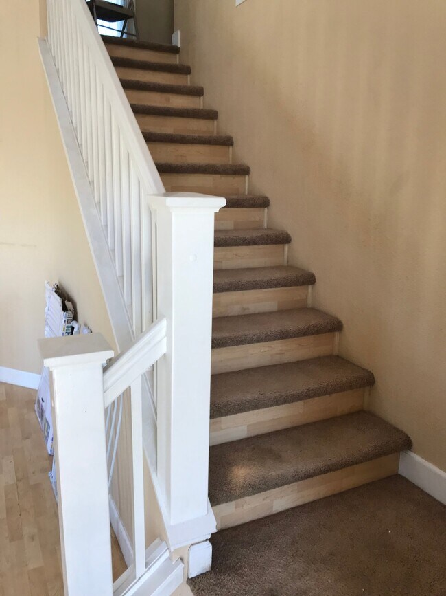 3978 Seagull Ct Discovery Bay, CA 94505 photo 5