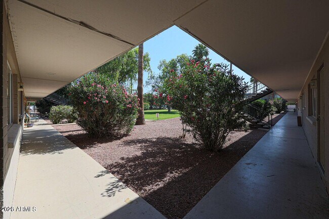 1111 E Turney Ave Phoenix, AZ 85014 photo 5