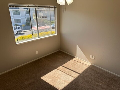 910 Kirsten Ct Rohnert Park, CA 94928 photo 4