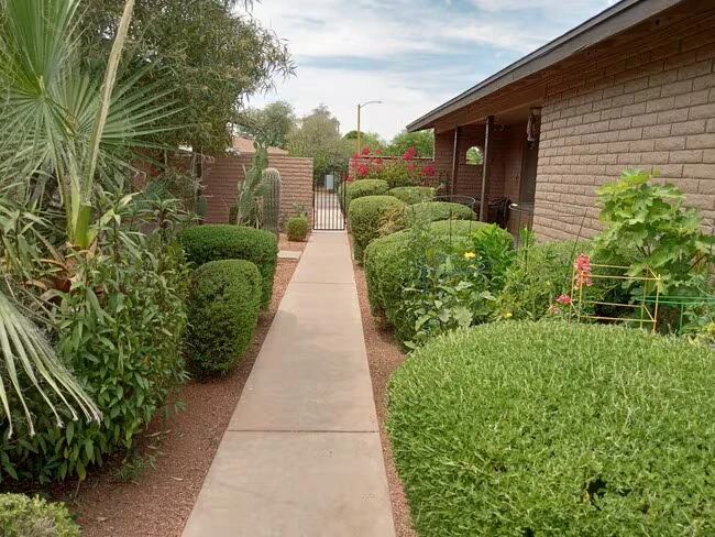 18041 N 40th Pl Phoenix, AZ 85032 photo 4